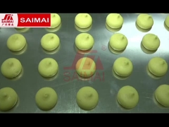 Fırın üretim hattı, Hamburger ekmeği, tost, bardak kek, ay kek, Danimarka ekmeği