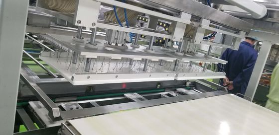 Independent Controlled Needle Depanner