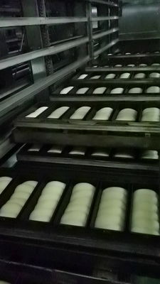 Hamburger Bun Mini French Bread In Line Sourdough Proofer