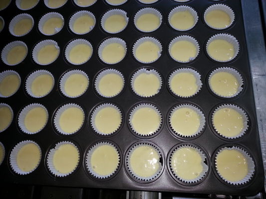 304 Stainless Steel 15A Double Color Cupcake Depositor