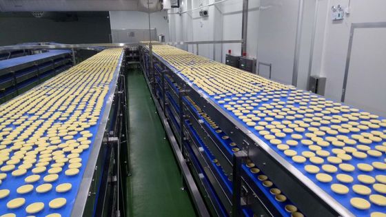 ISO 9000 Hygienic Independent Controlled Curved Belt Conveyor
