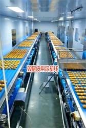 ISO 9000 Hygienic Independent Controlled Curved Belt Conveyor