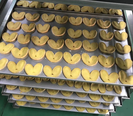 380V Filled Cookie Production Line